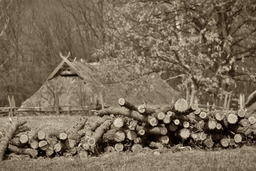 House of the hunter in the woods. In the frame a lot of wood from pine and ate. Summer day. Photographed in Ukraine. Kiev region. Horizontal frame. Black and white image, sepia.