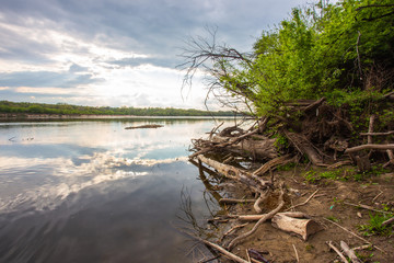 view of the river bank