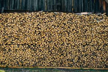 harvesting of wood in the village