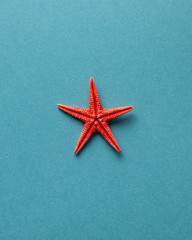 Fototapeta na wymiar Tropical background. Flat lay red starfish on a blue background. The concept of travel, vacation by the sea. Copy space