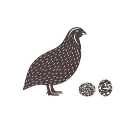 Fototapeta na wymiar Quail logo. Isolated quail on white background