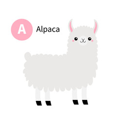 Letter A. Alpaca llama. Zoo animal alphabet. Funny lama. English abc with cute cartoon kawaii funny baby animals. Education cards for kids. Isolated. White background. Flat design.