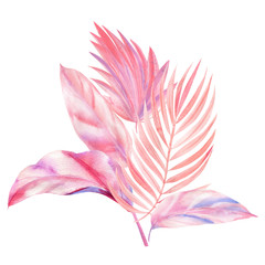 bouquet of Palm pink and purple leaves, leaves of palm tree, watercolor illustration on isolated white background, greeting card