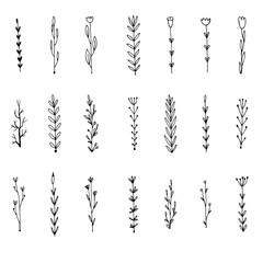 Set of simple doodles of flowers and twigs