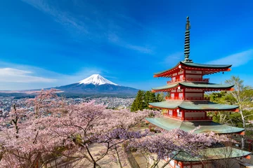 Papier Peint photo Mont Fuji mont fuji et fleurs de cerisier avril 2018