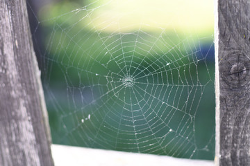A spider web on a fence at the country side. Green grass in the background, rural setting.