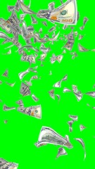 Flying dollars banknotes isolated on chromakey. Money is flying in the air. 100 US banknotes new sample. Vertical orientation. 3D illustration