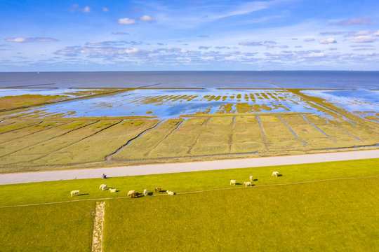 Aerial view sea dike national park Waddensea
