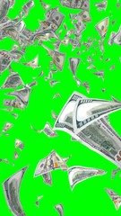 Flying dollars banknotes isolated on chromakey. Money is flying in the air. 100 US banknotes new sample. Vertical orientation. 3D illustration