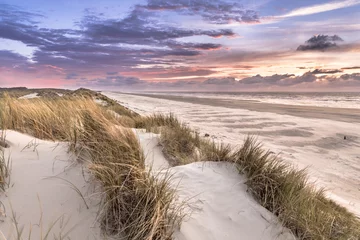 Papier Peint photo Lavable Mer du Nord, Pays-Bas Vue du haut des dunes sur la mer du Nord