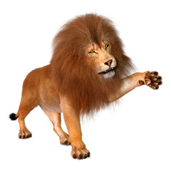 Plakat 3D Rendering Male Lion on White