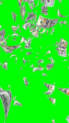 Flying dollars banknotes isolated on chromakey. Money is flying in the air. 100 US banknotes new sample. Vertical orientation. 3D illustration