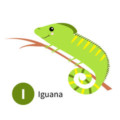 Letter I. Iguana. Zoo animal alphabet. English abc with cute cartoon kawaii funny baby animals. Education cards for kids. Isolated. White background. Flat design.