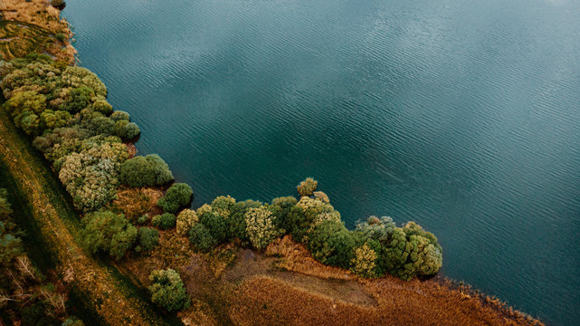 Blue sea with trees along