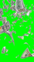 Flying dollars banknotes isolated on chromakey. Money is flying in the air. 100 US banknotes new sample. Vertical orientation. 3D illustration