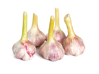 Fresh garlic from the garden on a white background