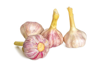 Fresh garlic heads of the new crop on a white background