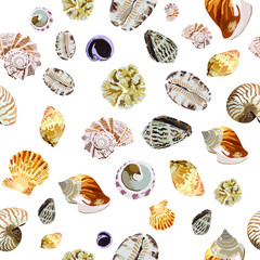 seamless background with shells