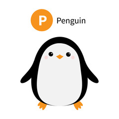 Letter P. Penguin. Zoo animal alphabet. English abc with cute cartoon kawaii funny baby bird animals. Education cards for kids. Isolated. White background. Flat design.