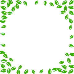 Falling green leaves. Fresh tea random leaves flyi