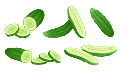 Fresh Green Salad Cucumber Sliced and Cut Vector Set