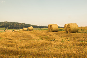 Fototapeta na wymiar Beautiful polish field view with large round bales of straw (hay). Countryside and forest landscape of Niemcza, 