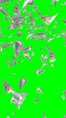 Flying dollars banknotes isolated on chromakey. Money is flying in the air. 100 US banknotes new sample. Vertical orientation. 3D illustration