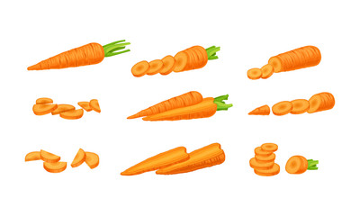 Whole and Chopped Carrot without Top Leaves Vector Set