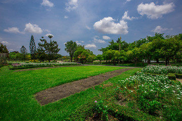 Close-up view of the various plants planted in the park,for the beauty of the spectators,fresh and comfortable,while resting during the day