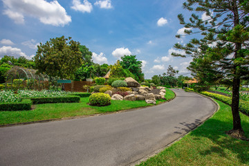Close-up view of the various plants planted in the park,for the beauty of the spectators,fresh and comfortable,while resting during the day