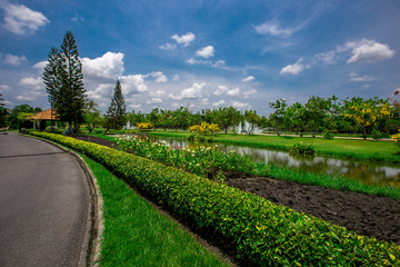 Close-up view of the various plants planted in the park,for the beauty of the spectators,fresh and comfortable,while resting during the day