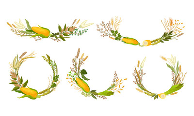 Agricultural Composition with Different Spikelets and Crops Like Corn and Wheatear Vector Set