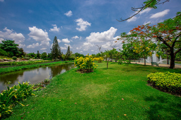 Close-up view of the various plants planted in the park,for the beauty of the spectators,fresh and comfortable,while resting during the day