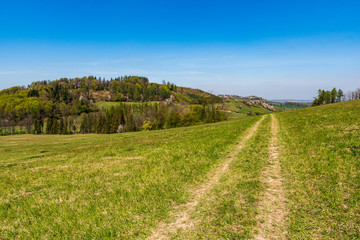 Fototapeta na wymiar dirt road through a green field in spring on a clear day