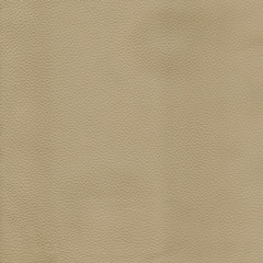 Biege detailed background texture of leather - 345629226