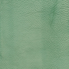 Mint detailed background texture of leather - 345629438