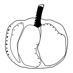 Pumpkin isolated vector illustration. Pattern for healthy lifestyle design. Scandinavian style. Vegetarian summer backdrop. Kitchen art. Fresh poster.