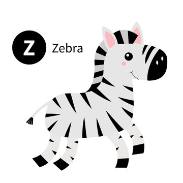 Letter Z. Zebra. Zoo animal alphabet. English abc with cute cartoon kawaii funny baby animals. Education cards for kids. Isolated. White background. Flat design.
