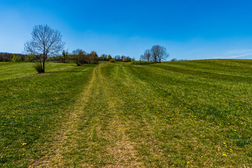 green pastures in spring with flowering trees, Czech Beskydy