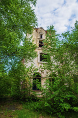 Destroyed building in a forest area