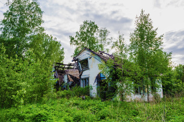 Destroyed building in a forest area