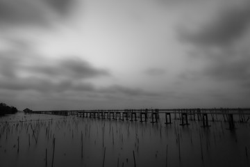 Black and white photography of a beach wooden pier