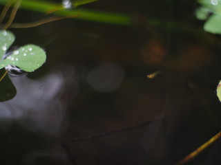 The water surface is moving.