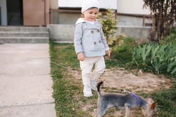Cute little gilr in grey coat play with little dor outside. Yorkshire terrer play and jump....