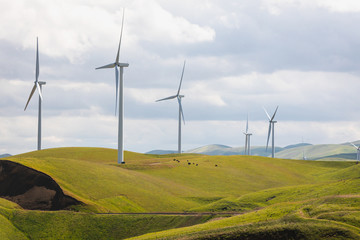 Yosemite to San Francisco