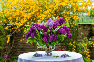 Fototapeta na wymiar A bouquet of purple lilca on a white table