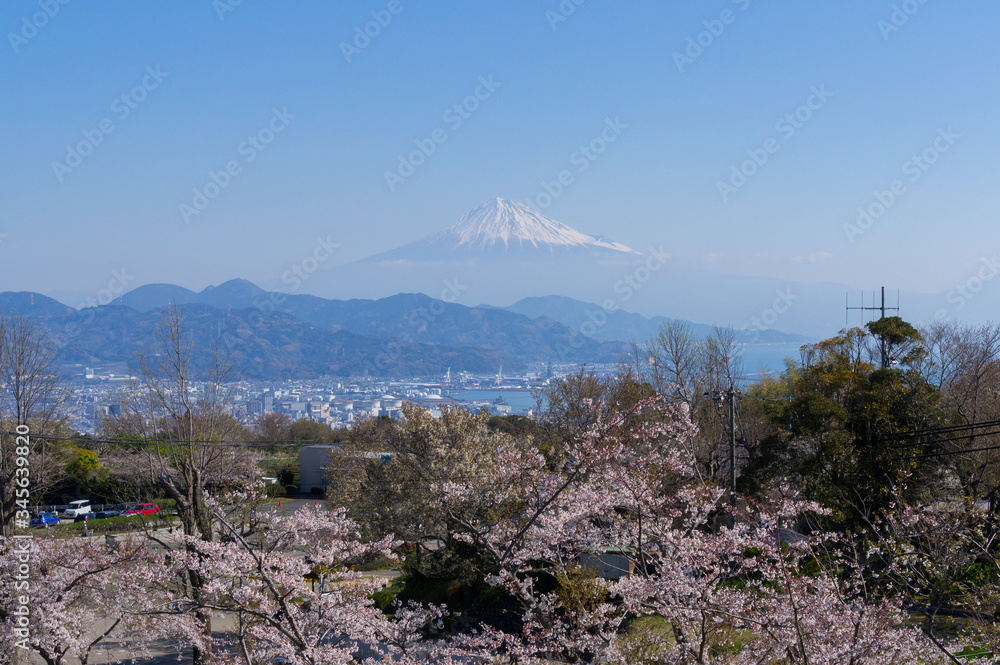 Canvas Prints 静岡日本平からの富士山