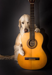 Gitarrenspieler