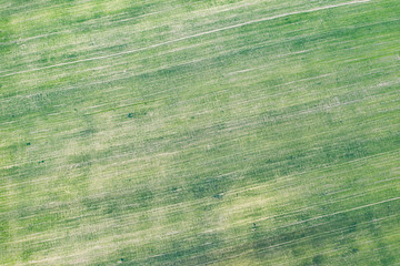 Aerial view on  green field from drone