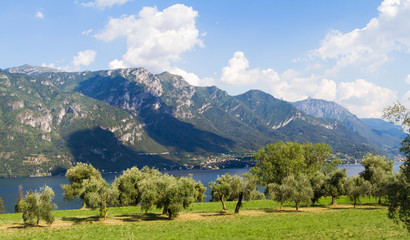 A large green field with a mountain in the background. High quality photo